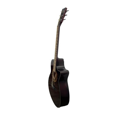 Tamrock Acoustic Guitar - WB